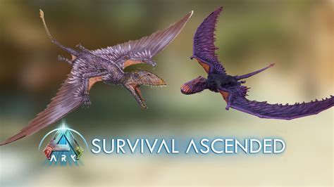 ARK Survival Ascended Dimorphodon taming guide