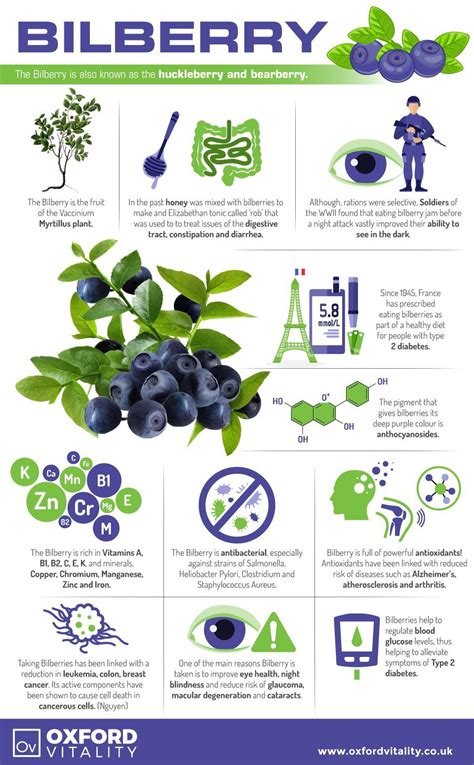 Bilberry, Bilberry Supplements , Bilberry Tablets, Bilberry History ...