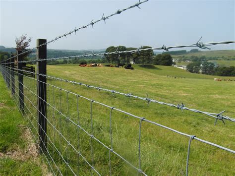 Free photo: Barb Wire Fence - Barbwire, Droplets, Fence - Free Download ...