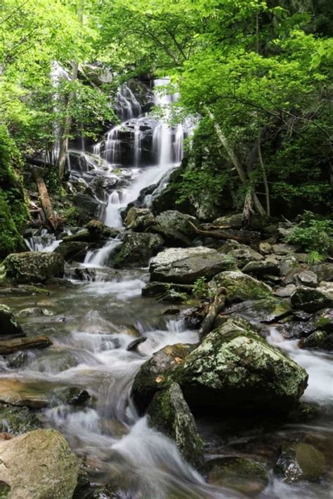 5 Best Waterfall Hikes in Shenandoah National Park - The National Parks ...