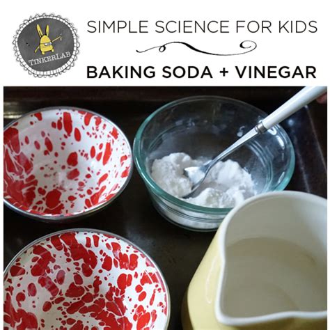 Fun Science Experiments | Vinegar and Baking Soda