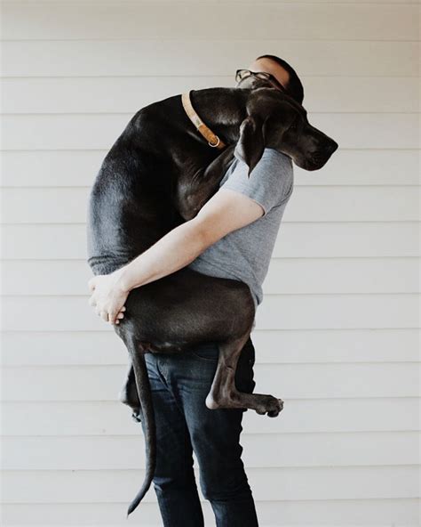 Do Dogs Feel Love When You Hug Them