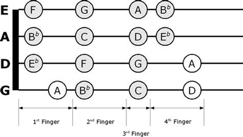 E-Violin / E-Cello / E-Viola