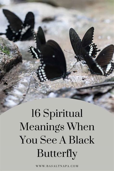 16 Spiritual Meanings When You See A Black Butterfly