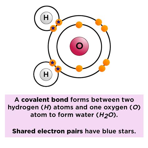 Polar vs. Nonpolar Bonds — Overview & Examples - Expii | Covalent ...