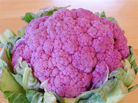 Purple Cauliflower Puree : 6 Steps (with Pictures) - Instructables