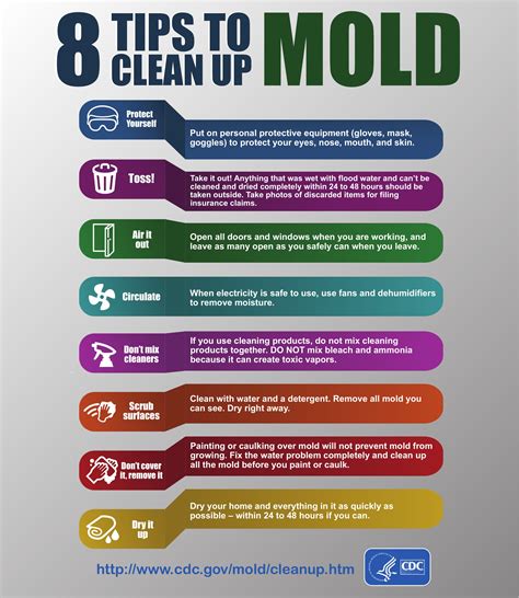 What to Do if Your House has Mold – Health Risks and Tips to Remove ...