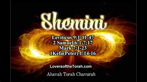 Torah Portion Commentary Shemini - YouTube