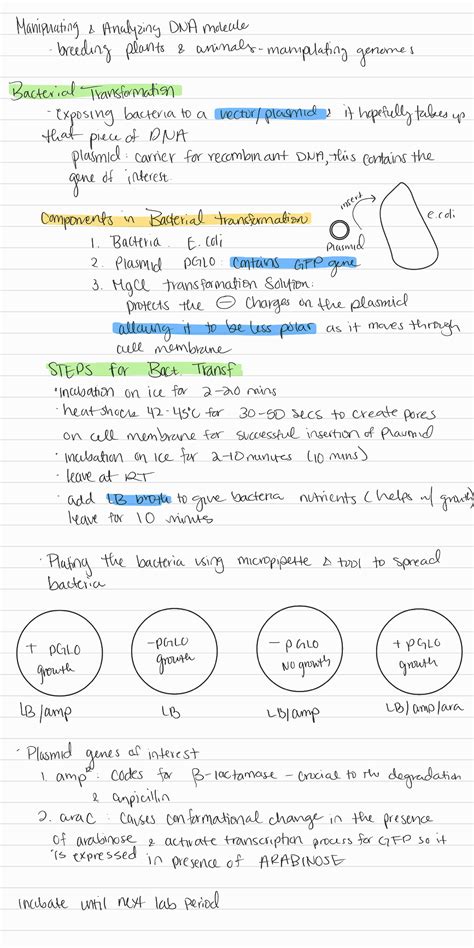 9 cell and molecular techniques - BIOL 300 - Studocu