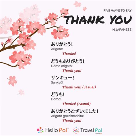 Hello Pal - Let's learn how to say "thank you" in Japanese...