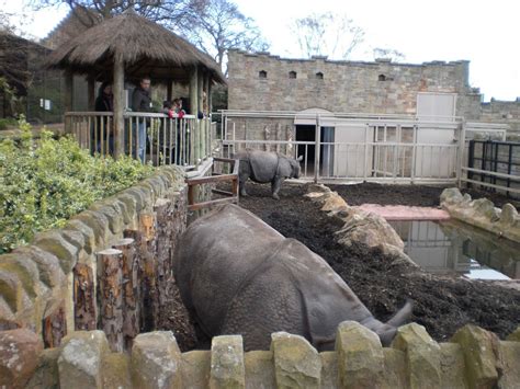 Edinburgh Zoo (Edinburgh) - Visitor Information & Reviews