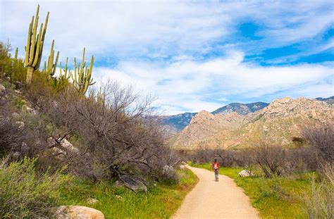 Catalina State Park - Visitor Center | Visit Arizona