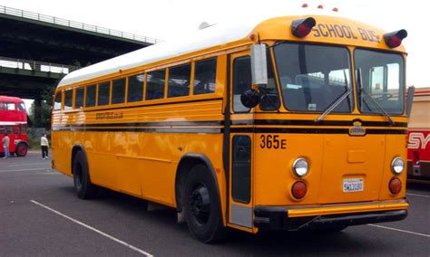 The yellow school bus is an easily recognisable part of American ...