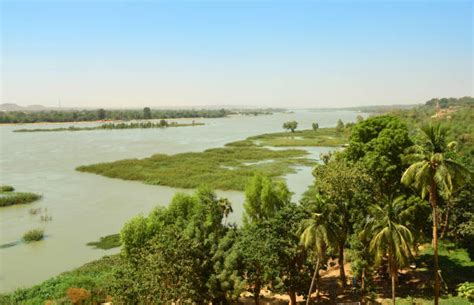 370+ Fleuve Niger Photos, taleaux et images libre de droits - iStock