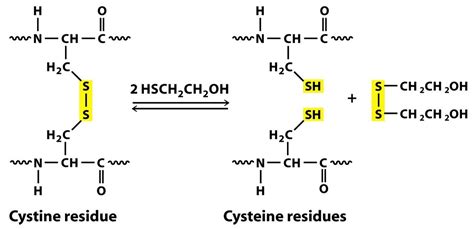 SDS-PAGE for Protein Resolution