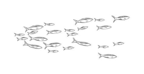 3,300+ School Of Fish Stock Illustrations, Royalty-Free Vector Graphics ...