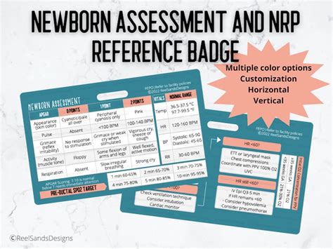 Newborn Assessment NRP Quick Reference Badge Buddy Card - Etsy