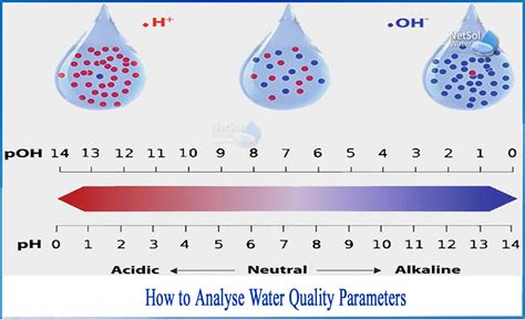 How to analyse water quality parameters - Netsol Water