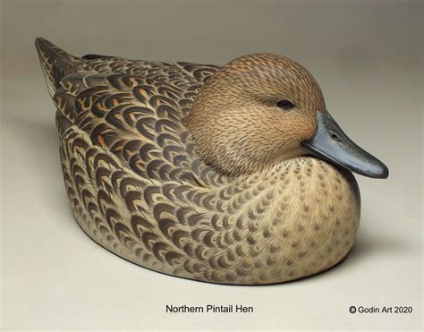 Northern Pintail Hen Photo Packet - Godin Art