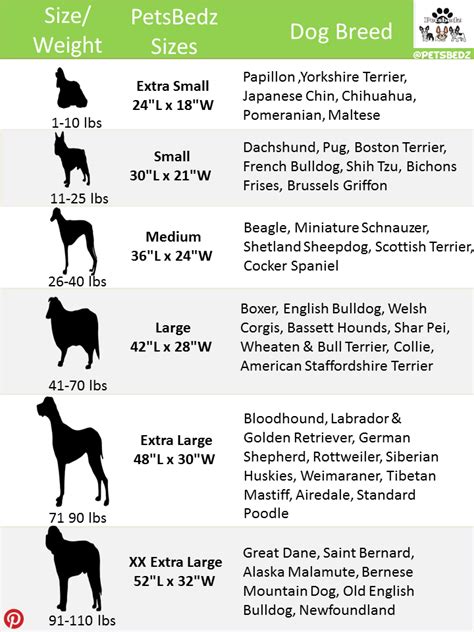 Airedale Terrier Size Chart - Pets Lovers