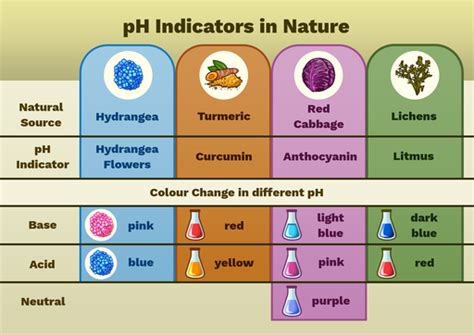 pH Indicators - Labster