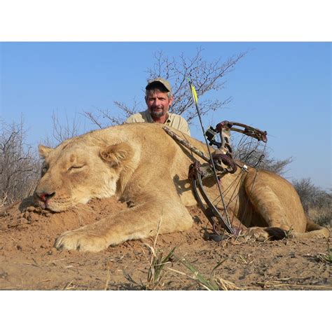 3-day lioness and plains game hunt for two hunters in South Africa ...