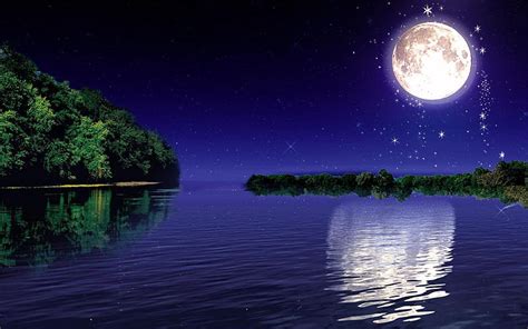 Moonlight, nature, moon, darkness, HD wallpaper | Peakpx