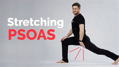 Understanding The Iliopsoas Psoas Psoas Stretch, Muscle, 53% OFF