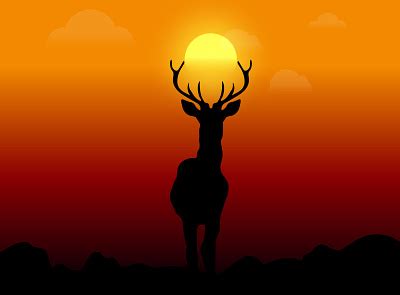 Deer At Sunset designs, themes, templates and downloadable graphic ...