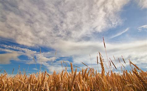 sky, Clouds, Nature, Landscape Wallpapers HD / Desktop and Mobile ...