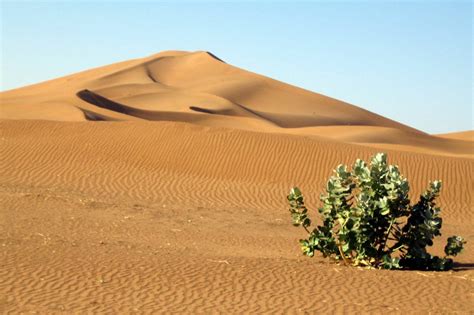 A Guide to Trekking Morocco's Scorching Desert