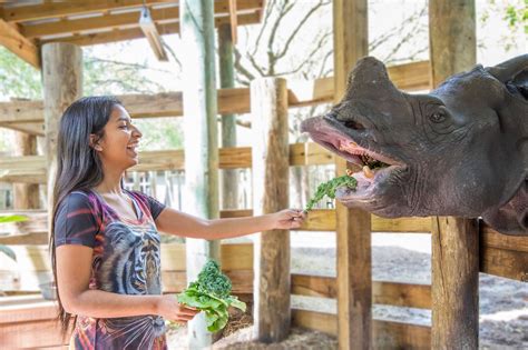 This Double Act In Tampa Offers Some Serious Family Fun Zooquarium