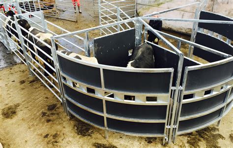 Portable Cattle Forcing Pen – Connacht Agri Supplies Ltd