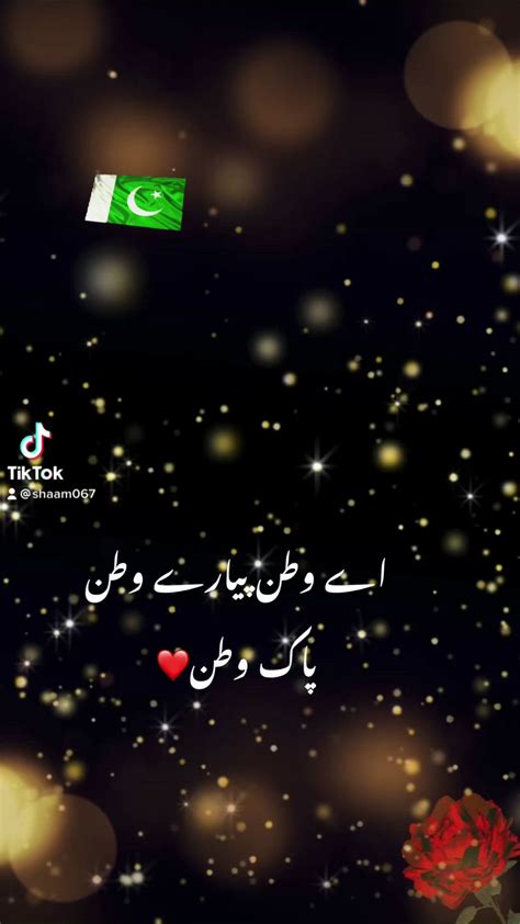 Pakistan Independence Day 🇵🇰🇵🇰🇵🇰