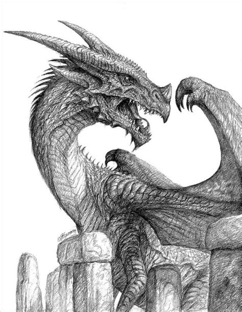 26+ Dragon Pencil Drawing Free Sketch Designs | Creative Template ...