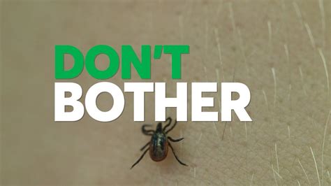 Don't Bother Using These Tick Removal Methods | Consumer Reports