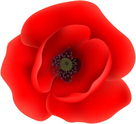 Poppy clipart anzac poppy, Poppy anzac poppy Transparent FREE for ...