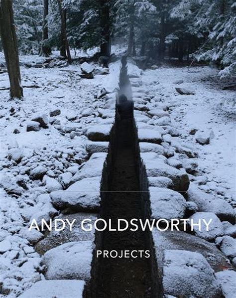 Andy Goldsworthy: Projects by Andy Goldsworthy, Hardcover ...