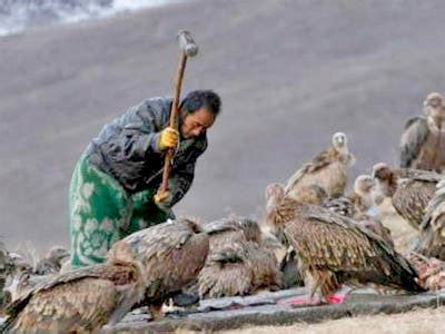 Sky Burial Vultures