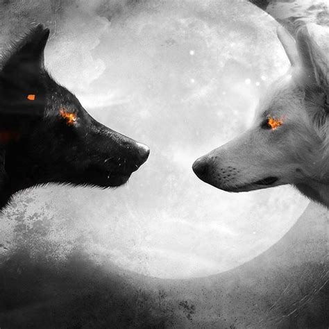 Black and White Wolf Wallpaper Engine | Wolf black and white, Wolf ...