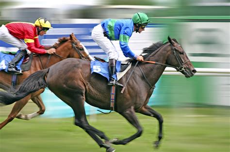 horse, Racing, Race, Equestrian, Sport, Jockey, Horses Wallpapers HD ...