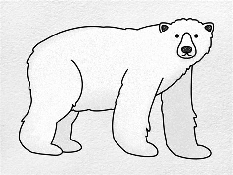 How to Draw Polar Bear - HelloArtsy