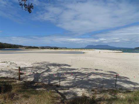 Orford Bird Sanctuary - 58 Tasman Hwy, Orford TAS 7190, Australia