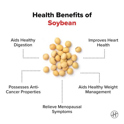 Soybean - Benefits, Nutrition Value & Recipes - HealthifyMe