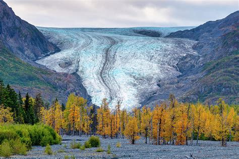 Celebrating Fall in Front of Exit Glacier, Seward, Alaska Photograph by ...