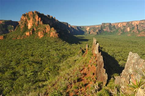 Vale do Rio Claro National Park, Chapada dos Guimaraes, State of Mato ...