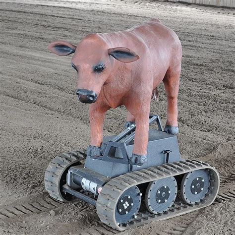 RealCow Robotic System