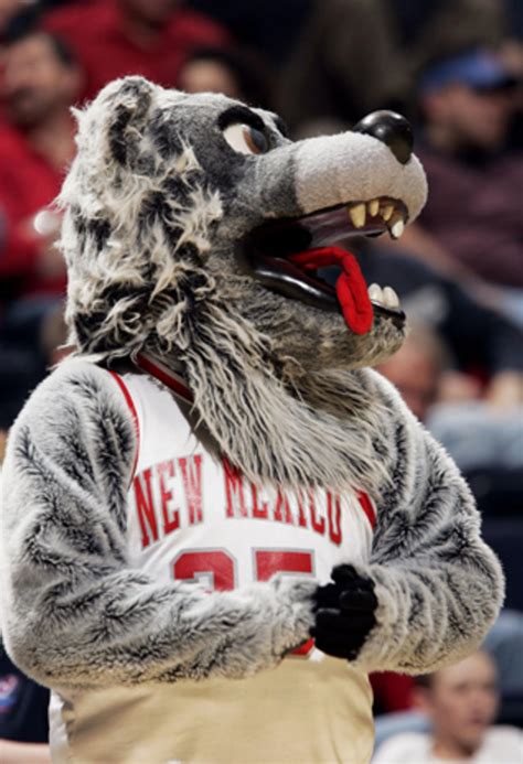 Lovable (and lovably bizarre) college sports mascots - CBS News