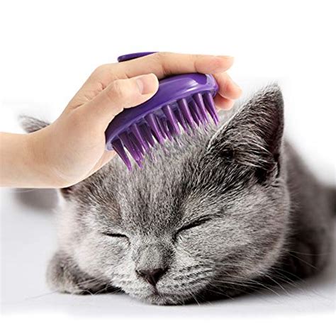 Best Cat Brush for Long Haired Cats in 2021 (with Reviews!)