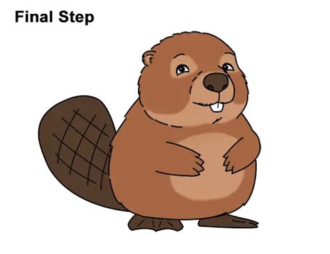 How to Draw a Beaver (Cartoon)